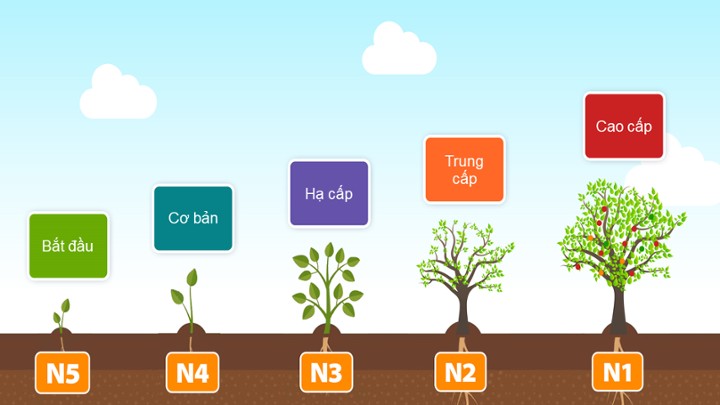 Cách Ôn Thi JLPT Hiệu Quả Theo Từng Cấp Độ Từ N5 Đến N1