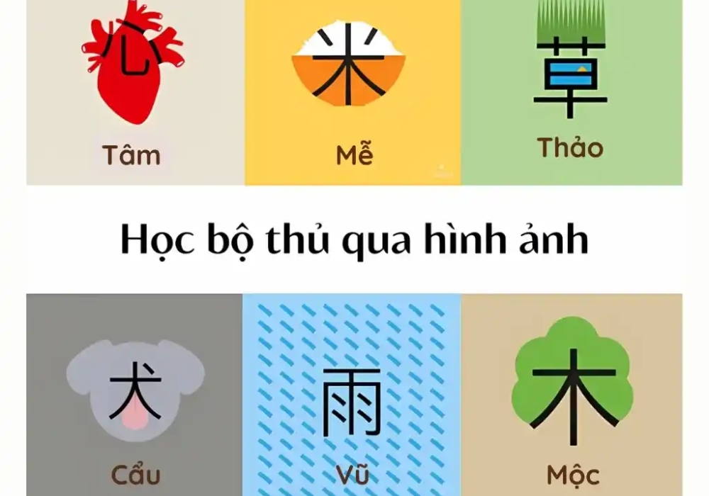 Tích cực "đọc" để vận dụng Kanji vào thực tế